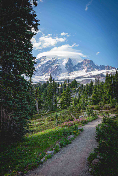 Rainier National Park 4 by Jonathan Yogerst