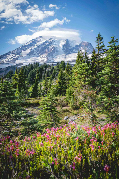 Rainier National Park 7 by Jonathan Yogerst