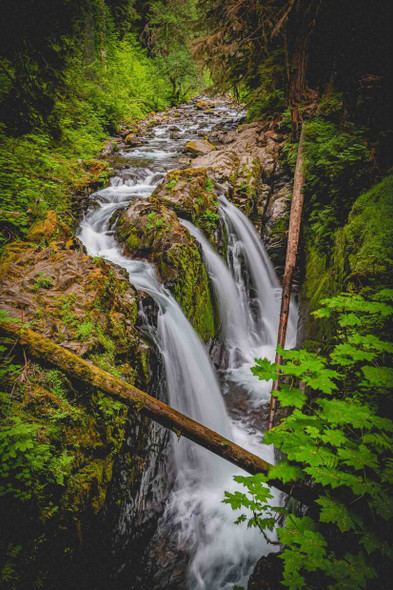 Olympic National Park 2 by Jonathan Yogerst