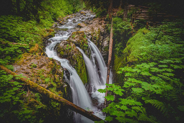 Olympic National Park 3 by Jonathan Yogerst