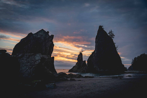 Olympic National Park 4 by Jonathan Yogerst