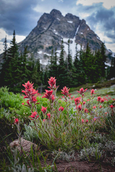 North Cascades National Park 6 by Jonathan Yogerst