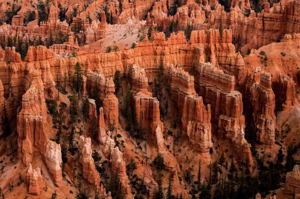 Bryce Canyon National Park 2 by Jonathan Yogerst