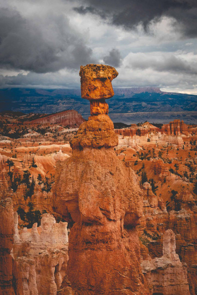 Bryce Canyon National Park 4 by Jonathan Yogerst