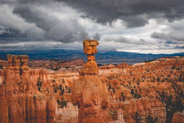 Bryce Canyon National Park 5 by Jonathan Yogerst
