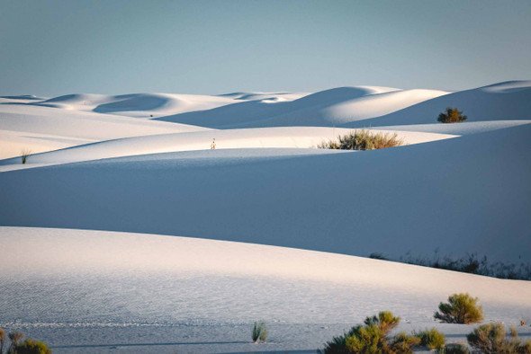 White Sands National Park 2 by Jonathan Yogerst