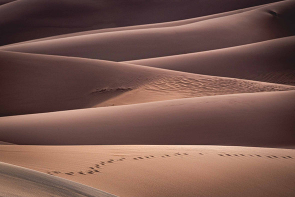 Great Sand Dunes National Park 7 by Jonathan Yogerst