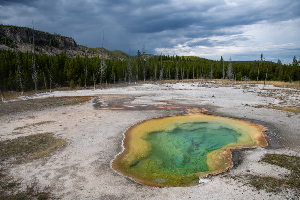 Yellowstone National Park by Riley K Photo
