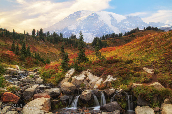 Edith Creek Autumn, Mt Rainier National Park by Mark Gotchall