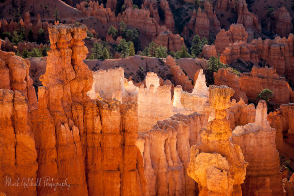 Bryce Canyon National Park by Mark Gotchall