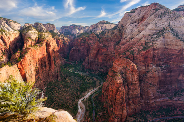 Angel's Landing by Sandra Fennessy