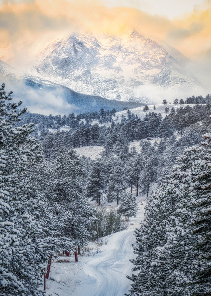 Rocky Mountain Winterscape by Sandra Fennessy