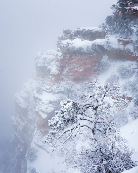 Snowy Abyss by Dana Sharman