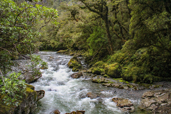 Tutoko River, New Zealand by Craig Fentiman