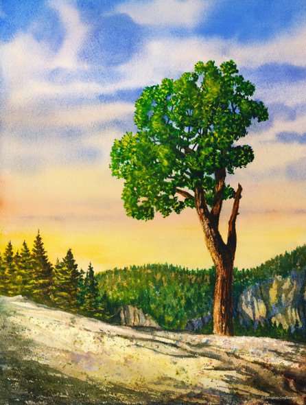 Yosemite Olmstead Point Tree (Original Painting) by Douglas Castleman
