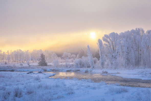 Winter Sunrise, Grand Teton National Park, by Ruby Hour Photo Art ~ Marcela Herdova