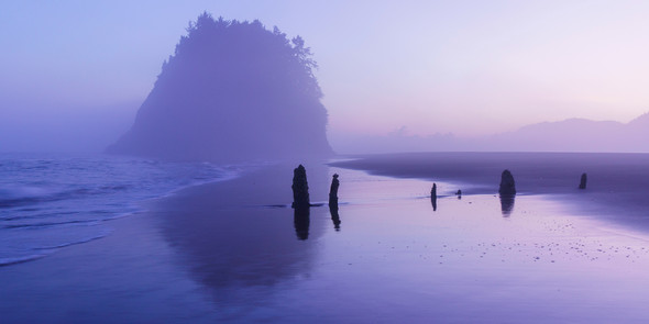 Wonder by Dana Sharman
