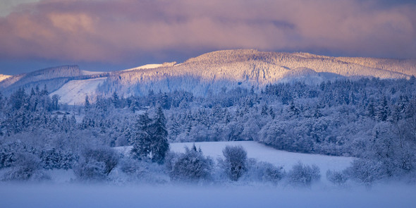 Pink Sunrise over Snow by Dana Sharman