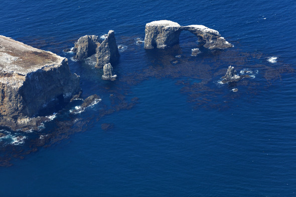 Channel Islands National Park by Fotodynamics / Ted Carlson - TCCI6