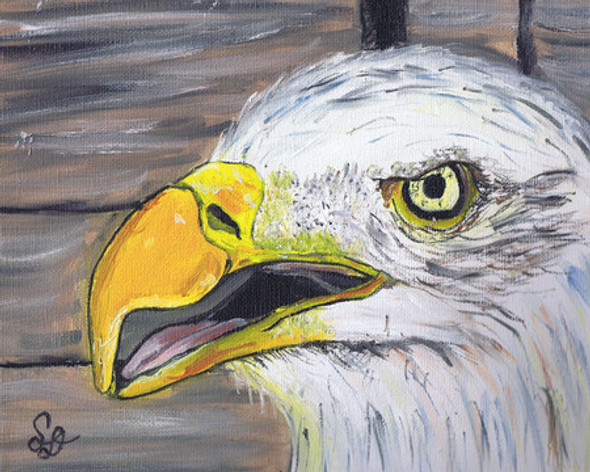 Bald Eagle Close Up (Original Painting) by Samara Doumnande