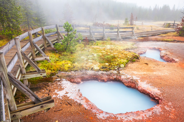 Fall at Artist Paintpots, Yellowstone National Park by Ruby Hour Photo Art ~ Marcela Herdova