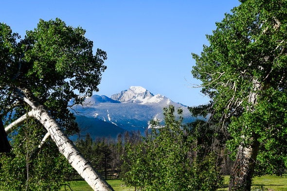 Aspen Framed View of Long's Peak in Rocky Mt. National Park by Gloria Moeller