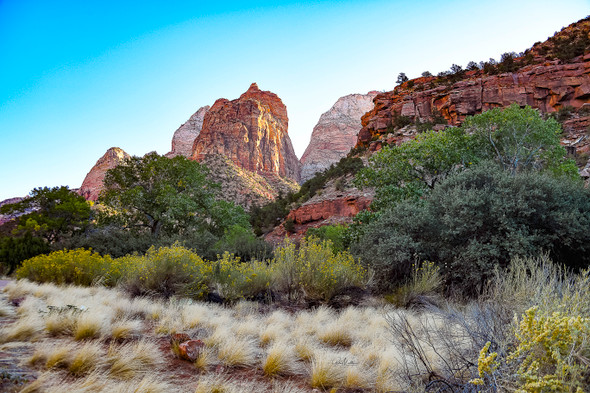 Desert Landscape at Zion National Park by Gloria Moeller