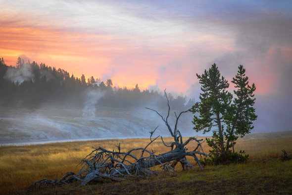 Misty Fall Morning, Yellowstone National Park by Ruby Hour Photo Art ~ Marcela Herdova