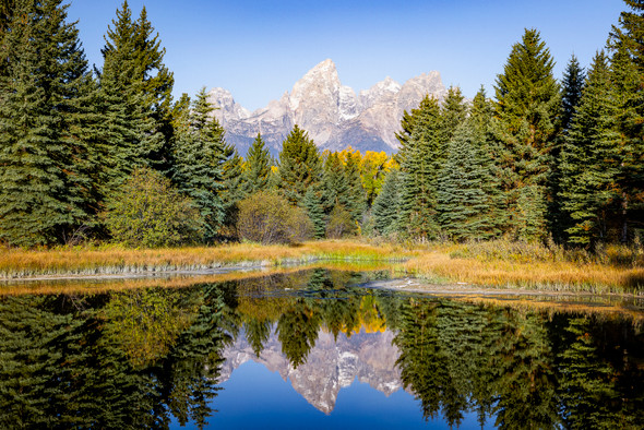 Autumn at Schwabacher Landing, Grand Teton National Park, by Ruby Hour Photo Art ~ Marcela Herdova