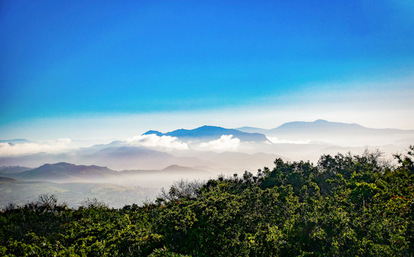 Misty Mountains by Gloria Moeller