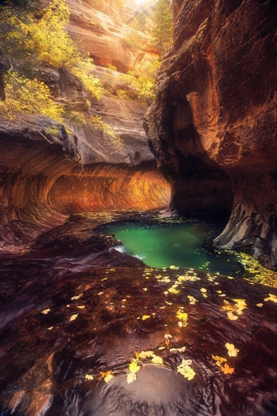 Zion National Park1 by John Haymore