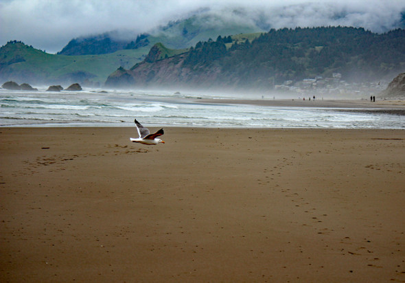 Nye Beach, Oregon Coast by Craig Fentiman