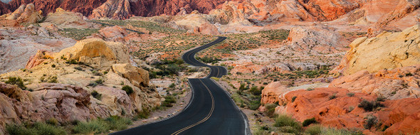Fire Road Valley of Fire by Lewis Carlyle