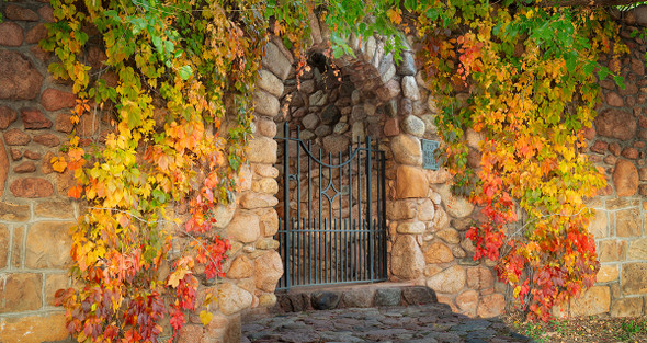 Stone Gate with Fall Colors by Lewis Carlyle