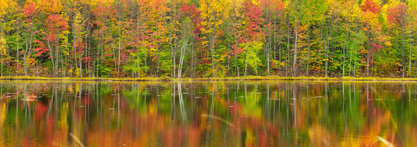 Fall Color Reflections Upper Peninsula By Lewis Carlyle