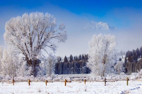 Mount Moran Winter Fairytale, Grand Teton National Park, by Ruby Hour Photo Art ~ Marcela Herdova