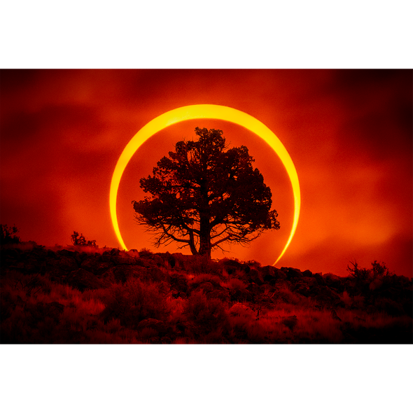 2023 Eclipse by Dana Sharman