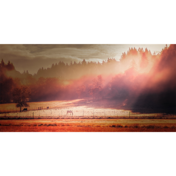 Animal Farm by Dana Sharman