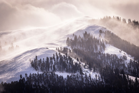 Winter Lamar, Yellowstone National Park by Ruby Hour Photo Art ~ Marcela Herdova