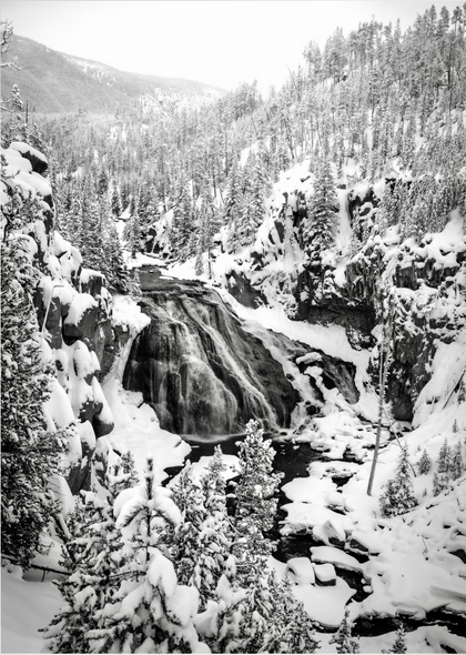 Gibbon Falls, Yellowstone National Park, by Ruby Hour Photo Art ~ Marcela Herdova