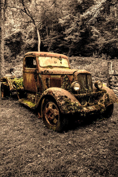 An Abandoned Rusted Truck in the Forest by Josh Blackman