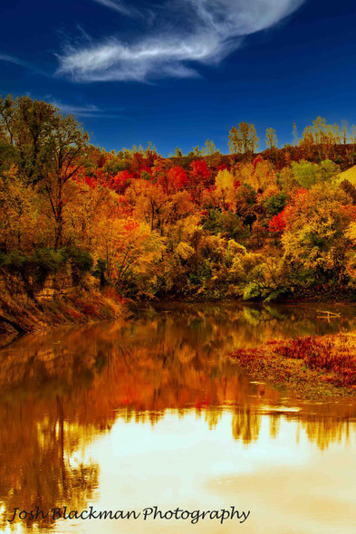 Autumn Splendor at Mill Creek by Josh Blackman
