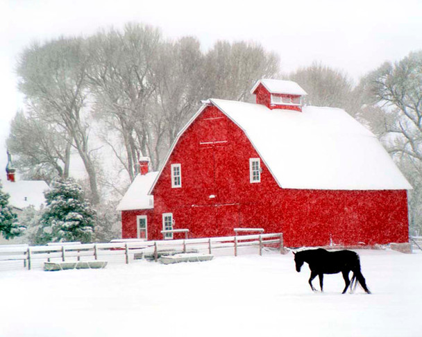 Black Horse and Barn