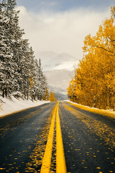 Splitting Seasons by Aaron Rashid