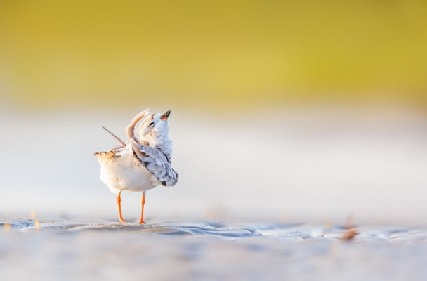 Feels So Good! by Kelley Luikey