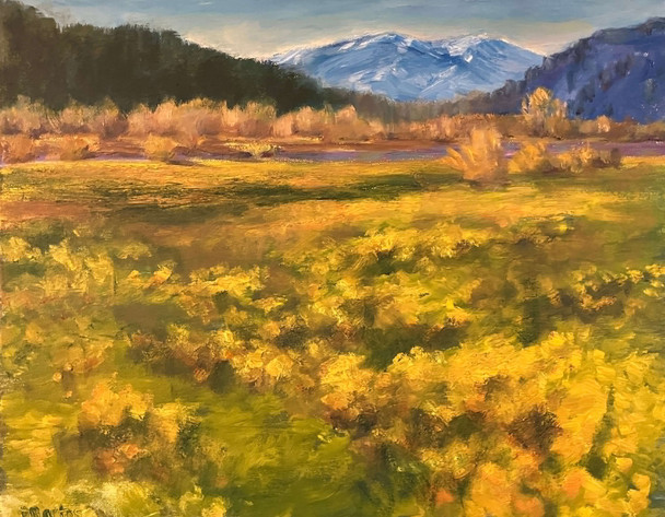 Telluride Spring (Original Painting) Oil on Canvas and Framed 16x20 Deb Bartos
