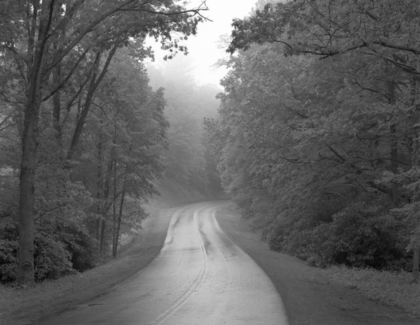 Road 1 Blue Ridge Parkway in Virginia by William Lemke