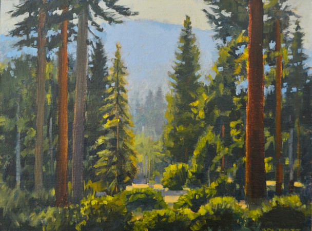 Tahoe Trail (Original Painting) Oil on Canvas 12 X 16 by John Thomas Soltesz