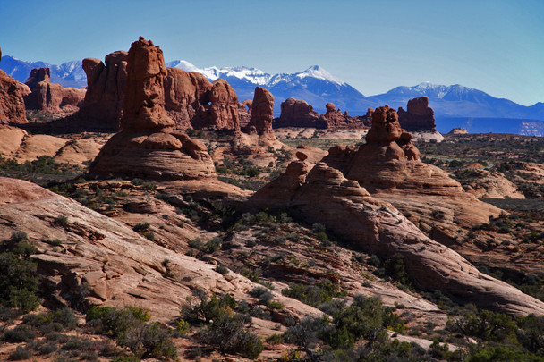 Arches National Park by Fotodynamics / Ted Carlson - TCAR163