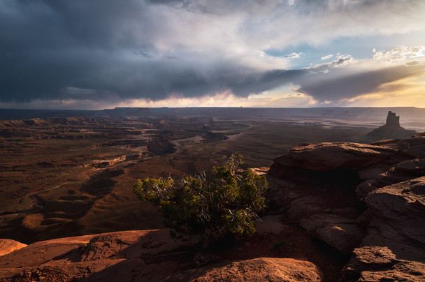 At the Edge of the Canyonlands - Canyonlands National Park by Justin Leveillee